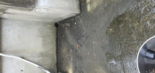 남동구 하수구막힘 배수관 내부 오염 확인과 세척 후 흐름 점검