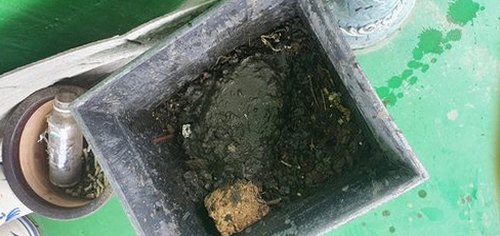 남동구 하수구막힘 논현동 하수구막힘 아파트 싱크대 거름망 당일 점검으로 빠른 처리