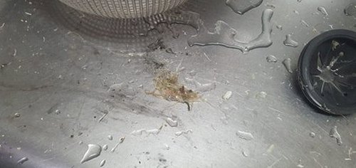 남동구 하수구막힘 운연동 하수구막힘 상가 변기와 바닥배수 중 원인 구분법